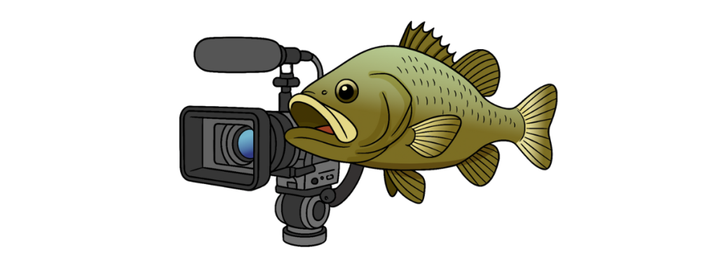 Cartoon graphic of fish holding a video camera
