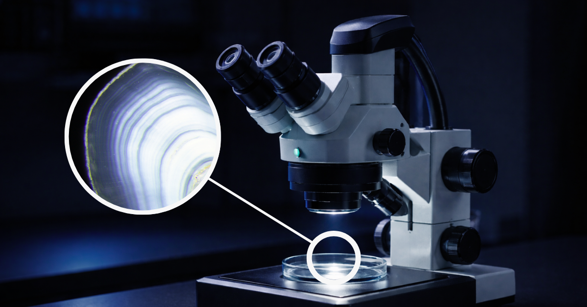 microscope lighting blog feature image for fishage