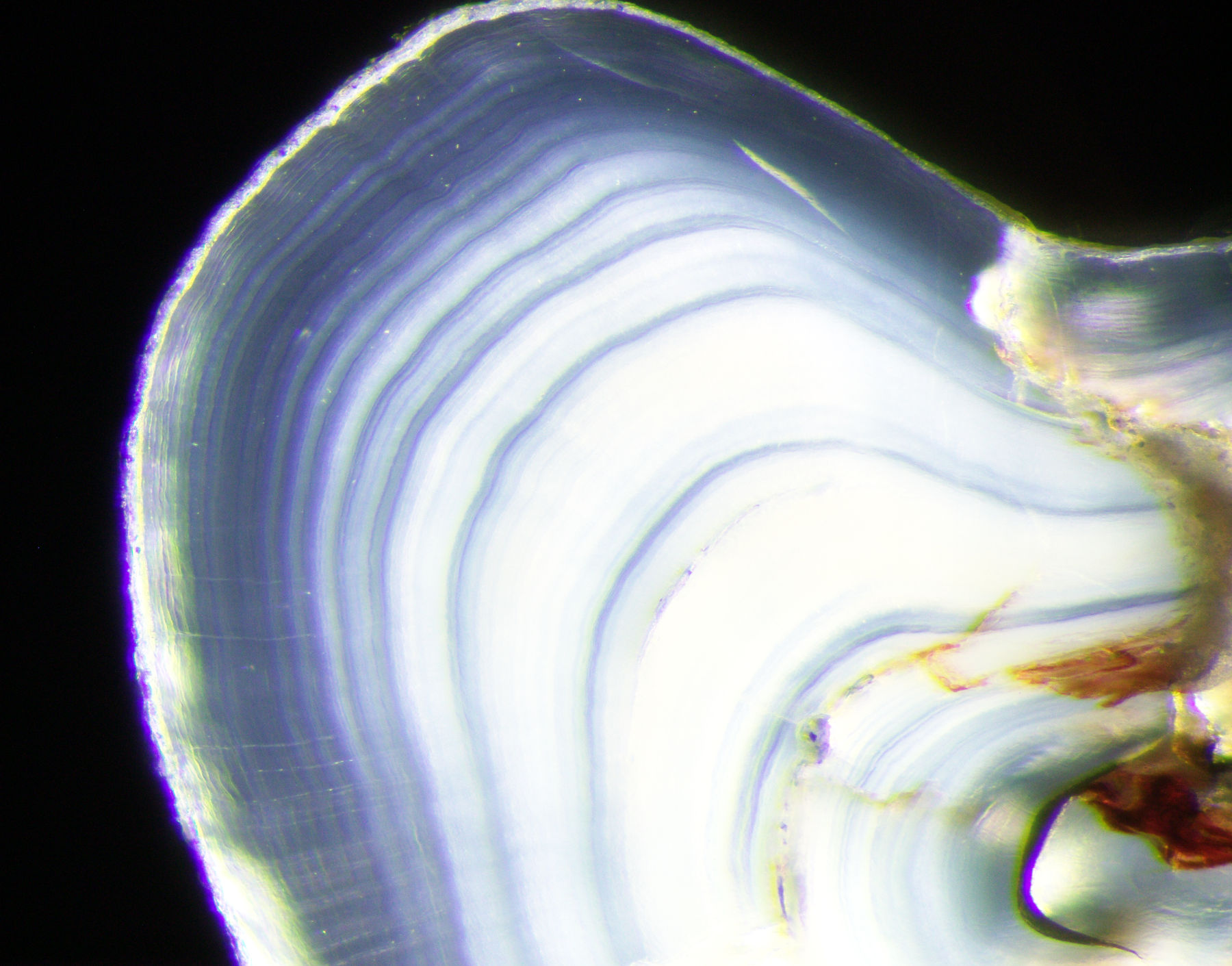 Darkfield + oblique: Combining lighting improves contrast and sharpness near the edge.